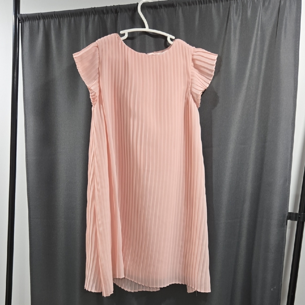 BCBGirls Soft Pink Pleated Dress